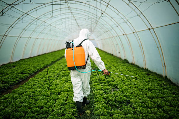 Best Local Pest Control Services  in Pulaski, WI