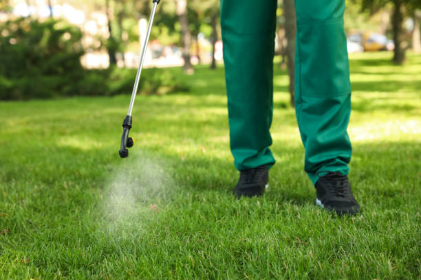 Best Affordable Pest Control Services  in Pulaski, WI