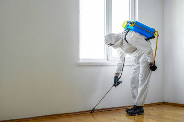 Best Flea Control Services  in Pulaski, WI