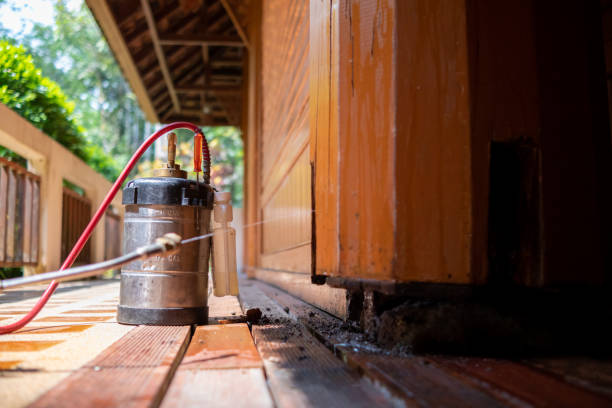 Best Affordable Pest Control Services  in Pulaski, WI