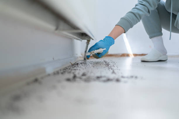 Pest Control for Restaurants in Pulaski, WI