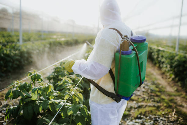 Best Insect Control  in Pulaski, WI